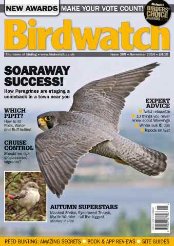 Birdwatch Magazine issue November 2014