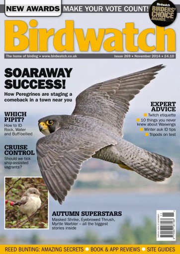 Birdwatch Magazine issue 