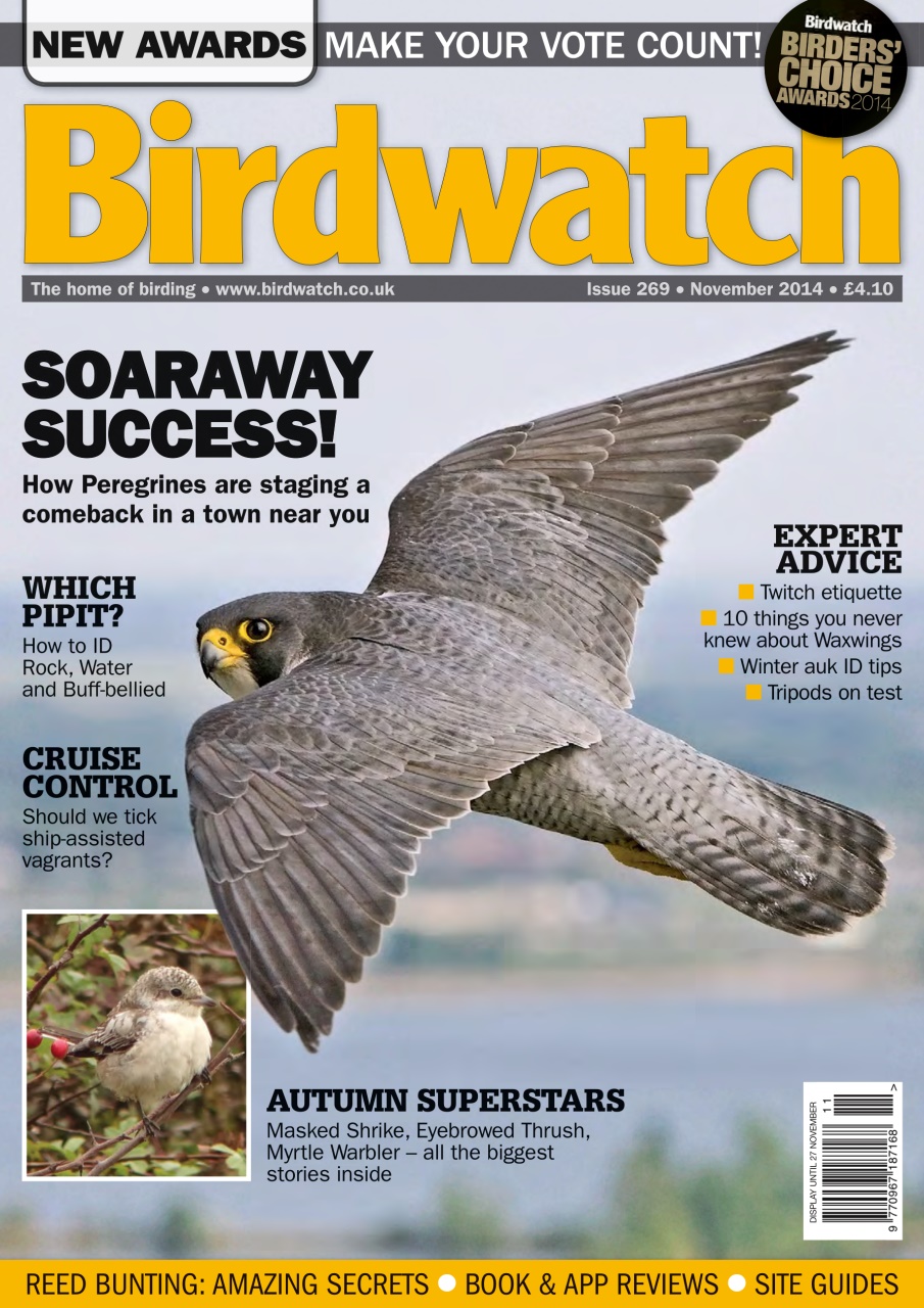 Birdwatch Magazine Preview Pages