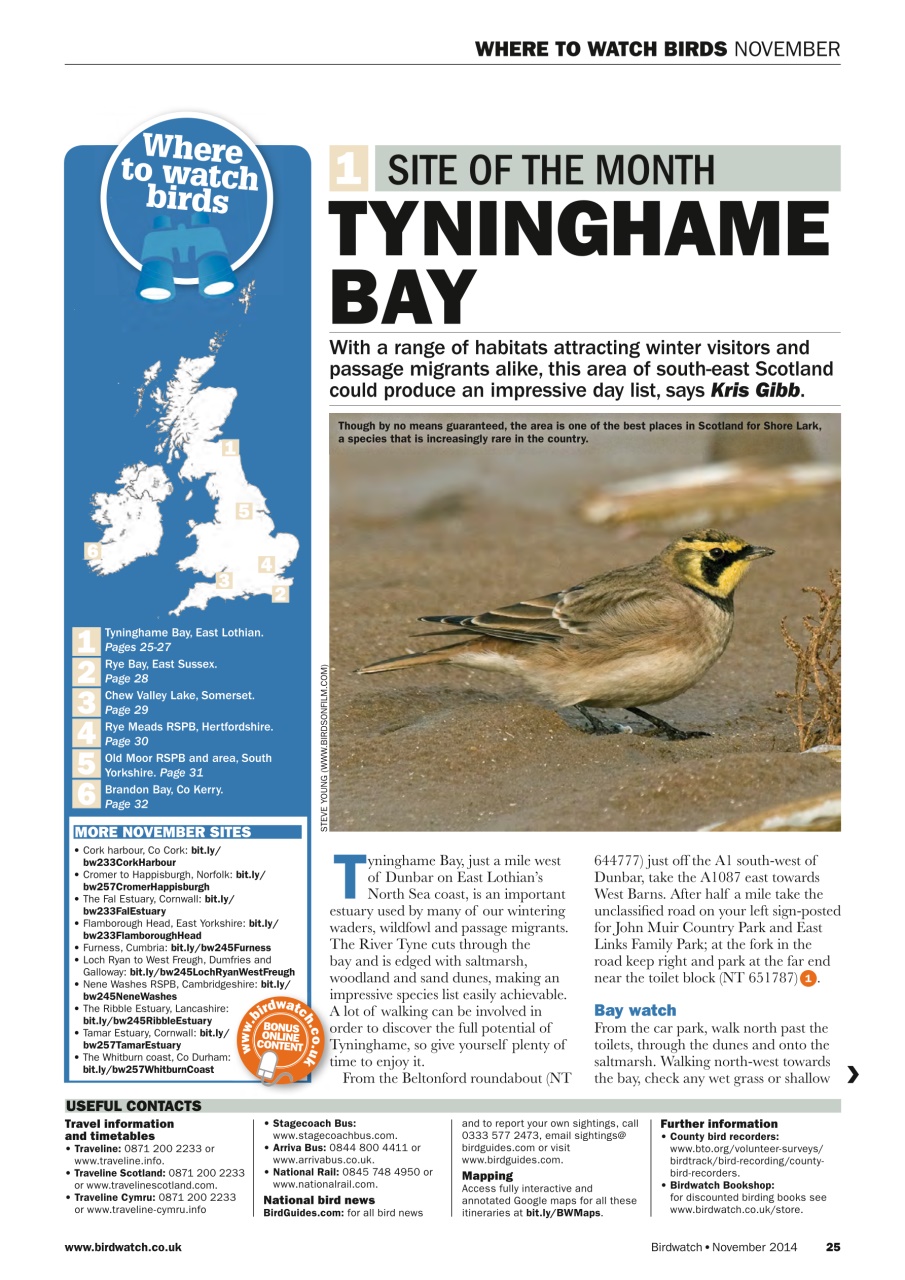 Birdwatch Magazine Preview Pages