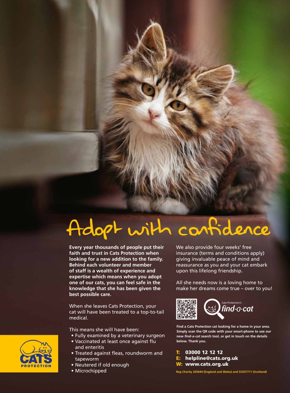 DIVA Magazine Preview Pages