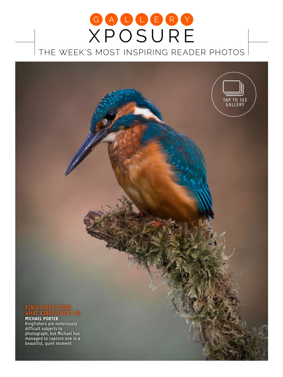 Photography Week Preview Pages