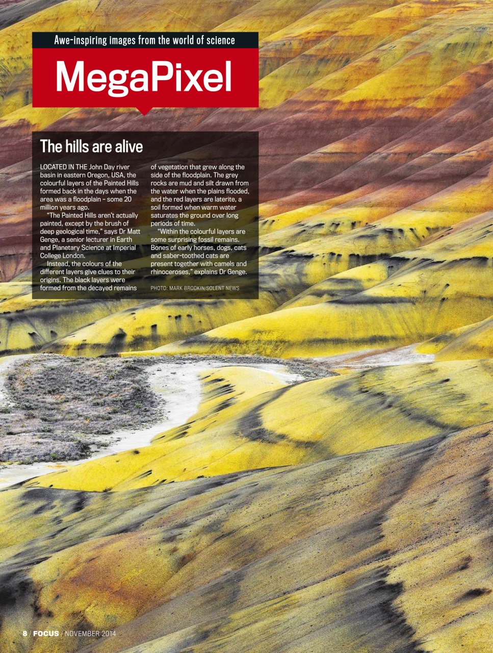 BBC Science Focus Magazine Preview Pages