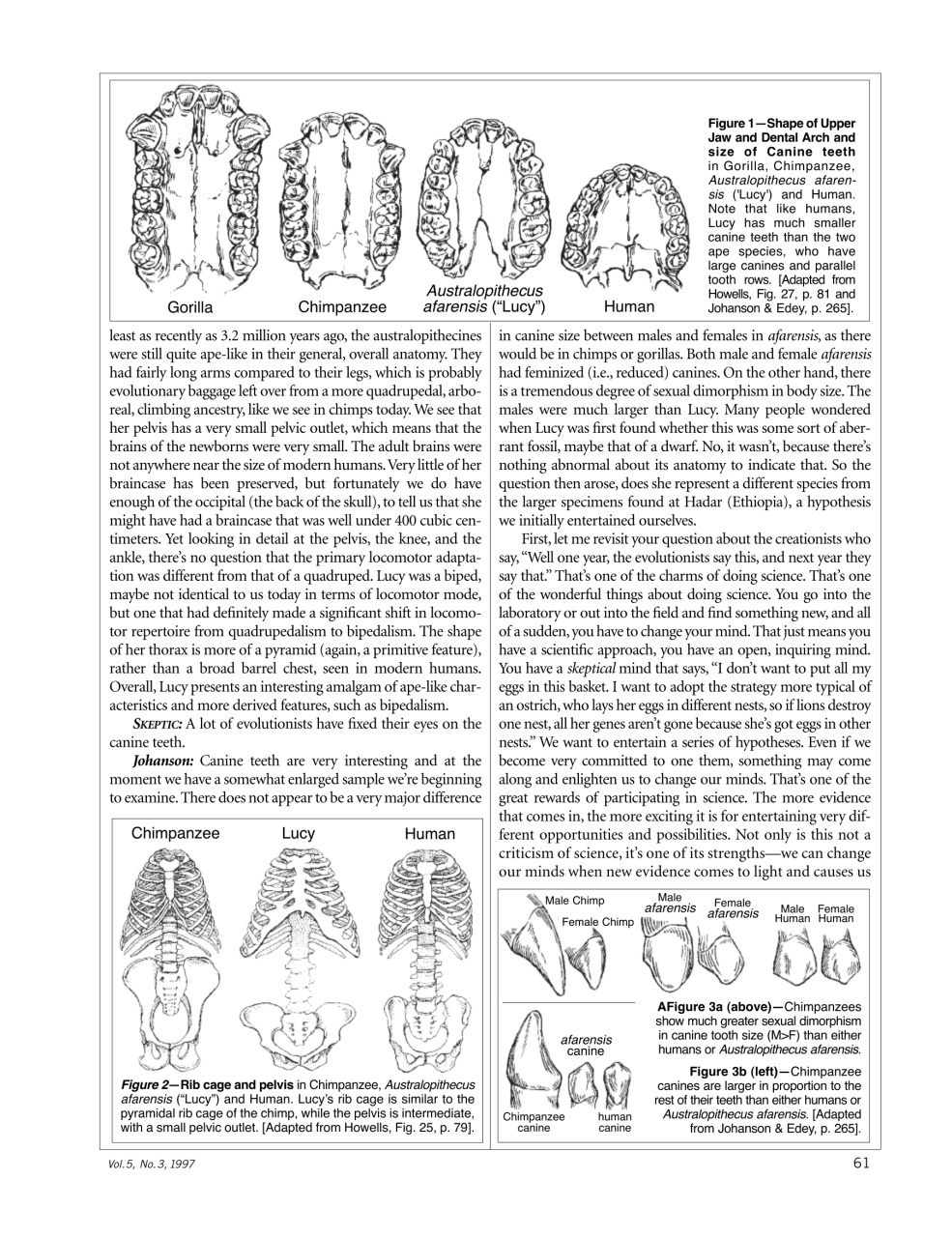 Skeptic Preview Pages