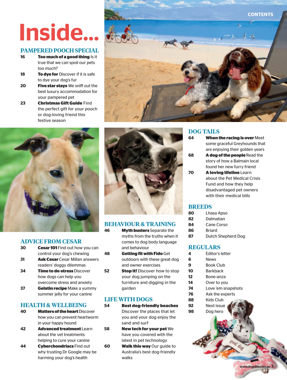 Dogs Life Preview Pages