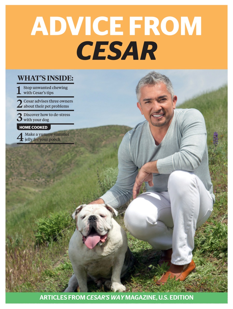 Dogs Life Preview Pages