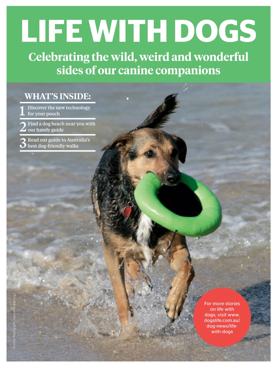 Dogs Life Preview Pages