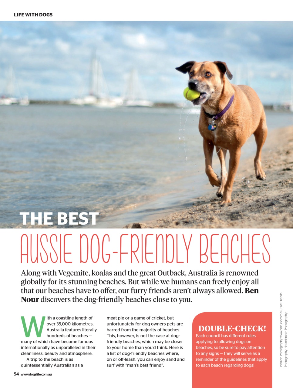 Dogs Life Preview Pages