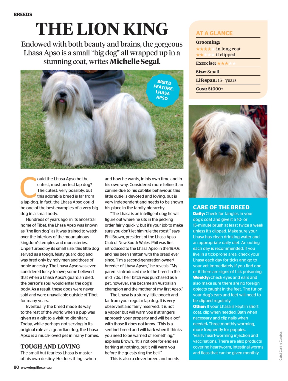 Dogs Life Preview Pages