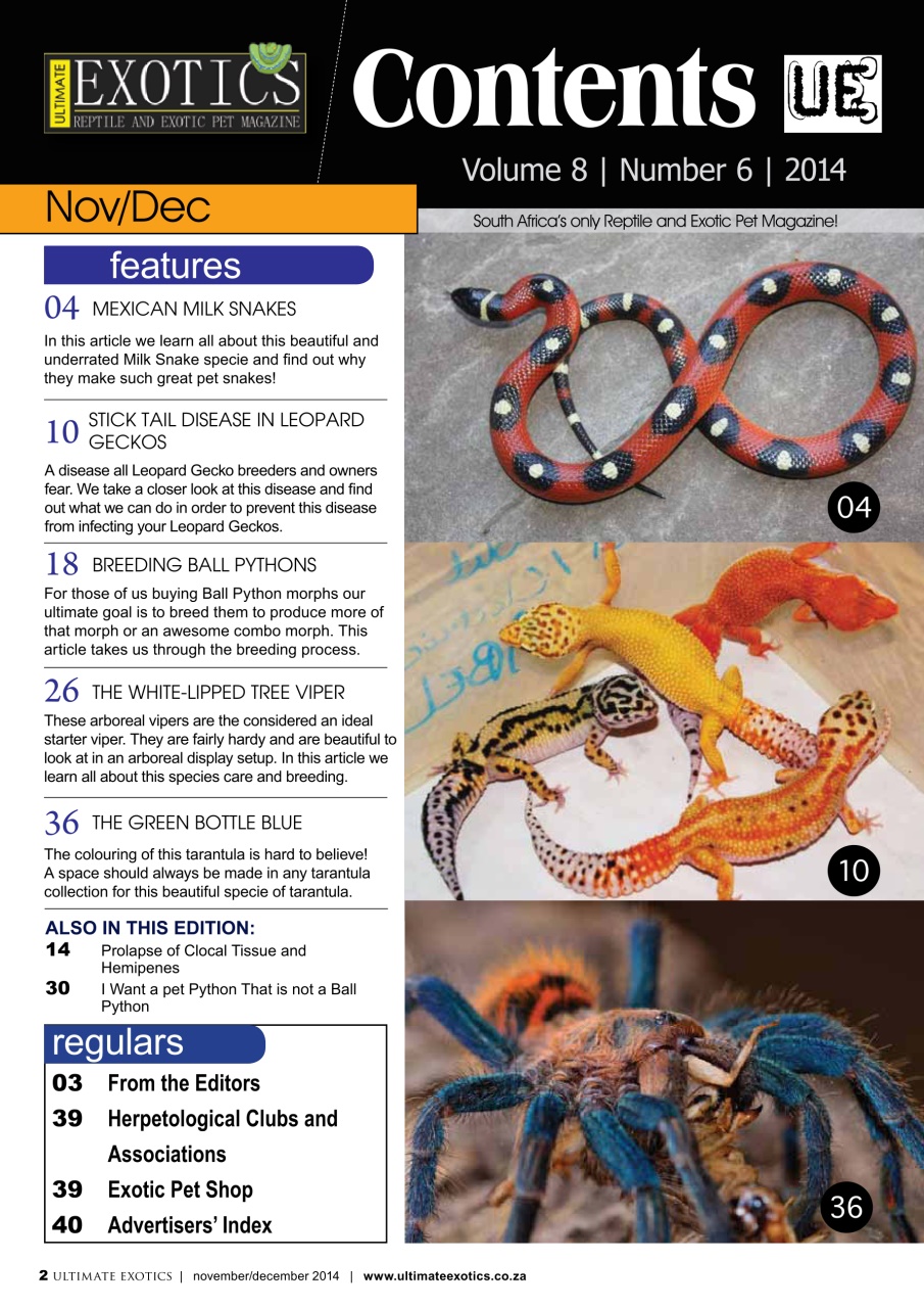 Ultimate Exotics Preview Pages