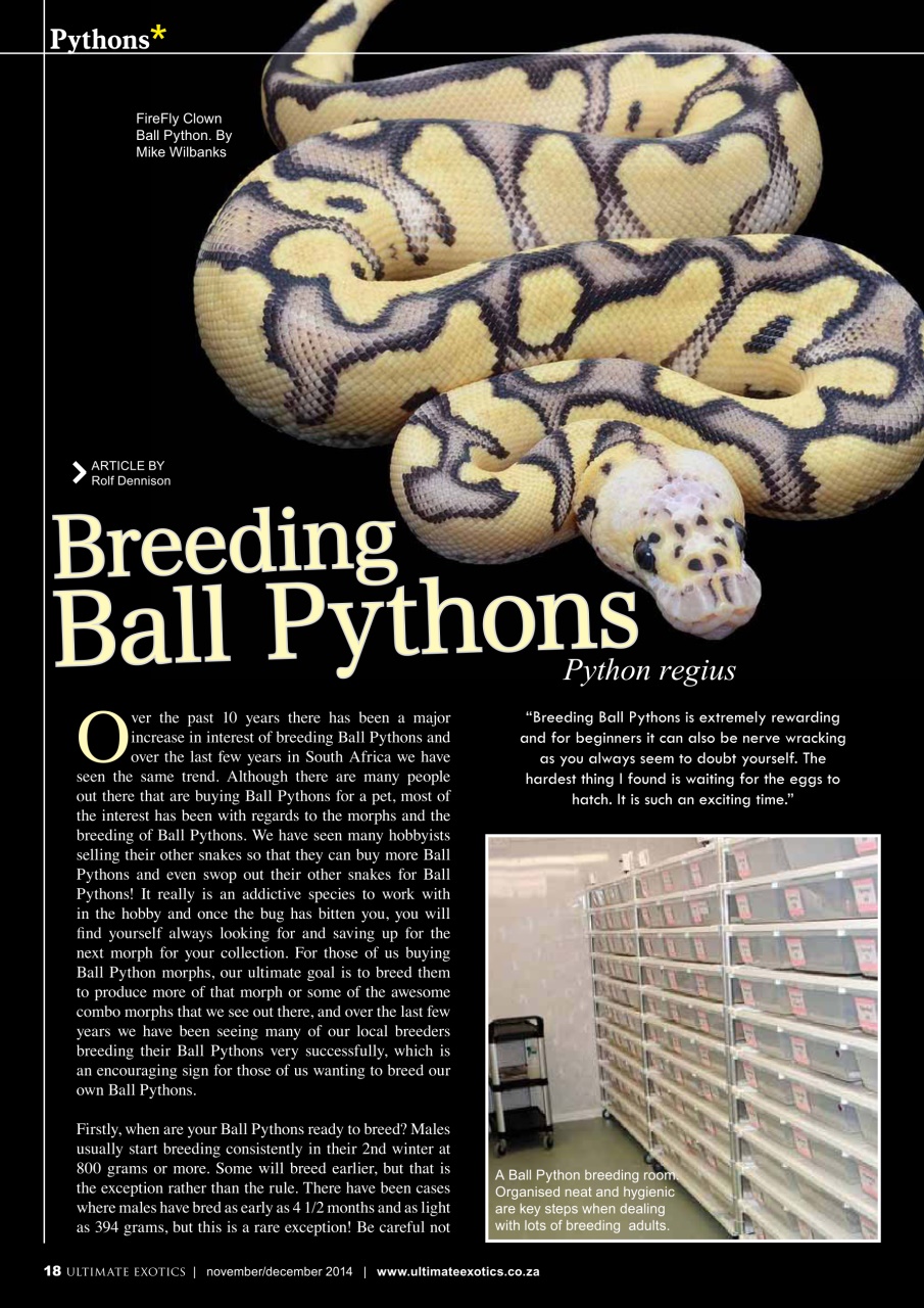 Ultimate Exotics Preview Pages