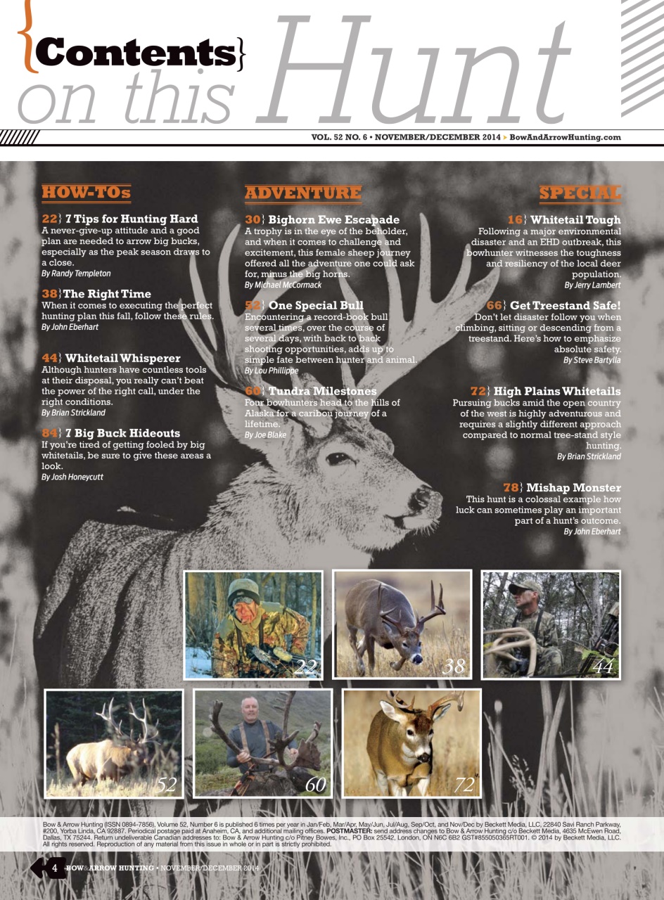Bow & Arrow Hunting Preview Pages