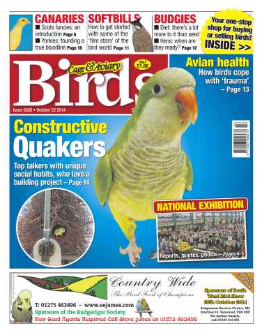 Cage & Aviary Birds issue No.5826 Constructive Quakers
