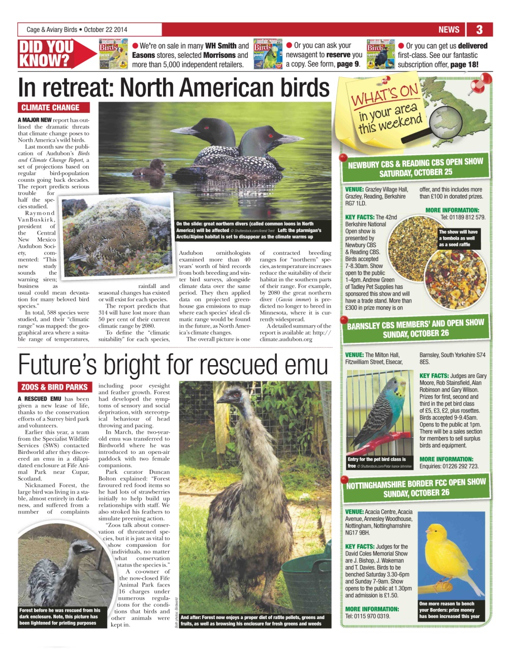 Cage & Aviary Birds Preview Pages