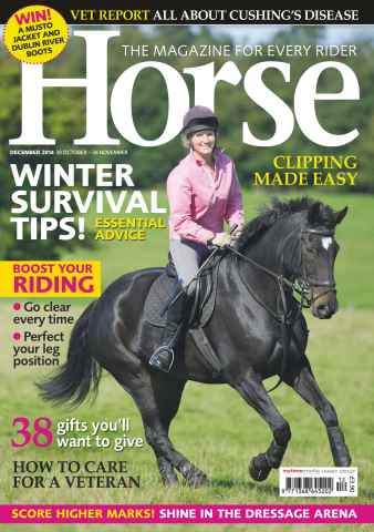 Horse issue December 2014