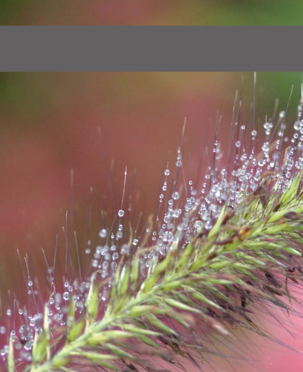 Outdoor Photography Preview Pages