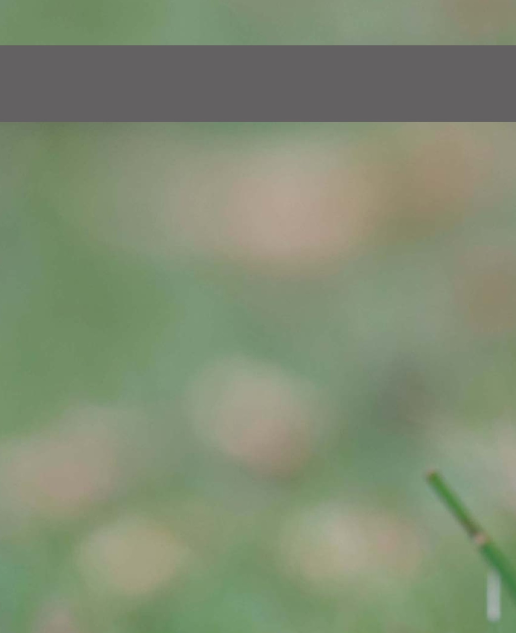 Black+White Photography Preview Pages