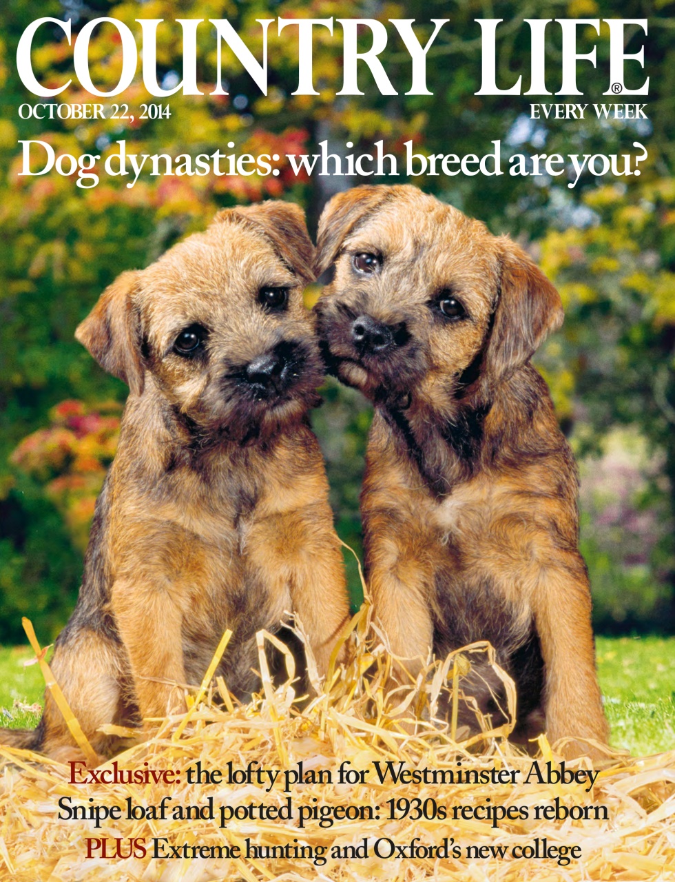 Country Life Preview Pages