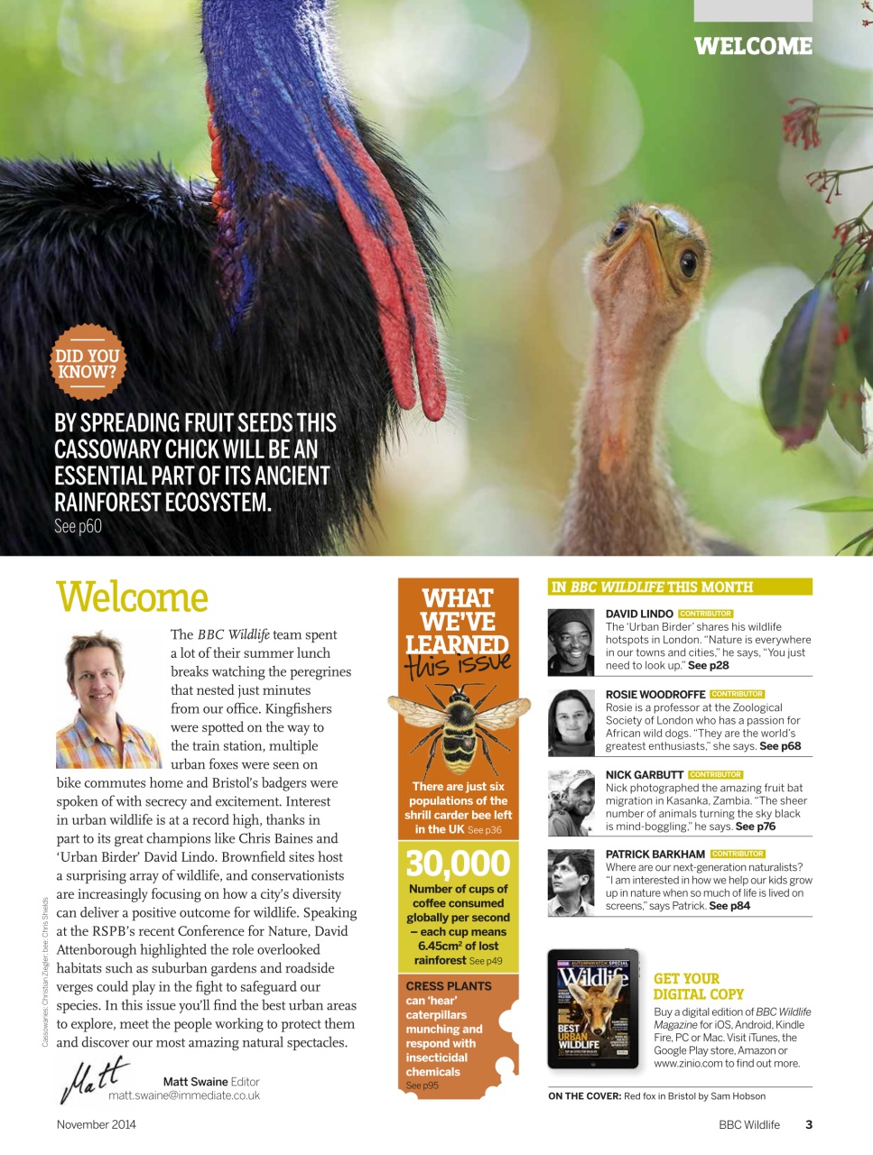 BBC Wildlife Magazine Preview Pages