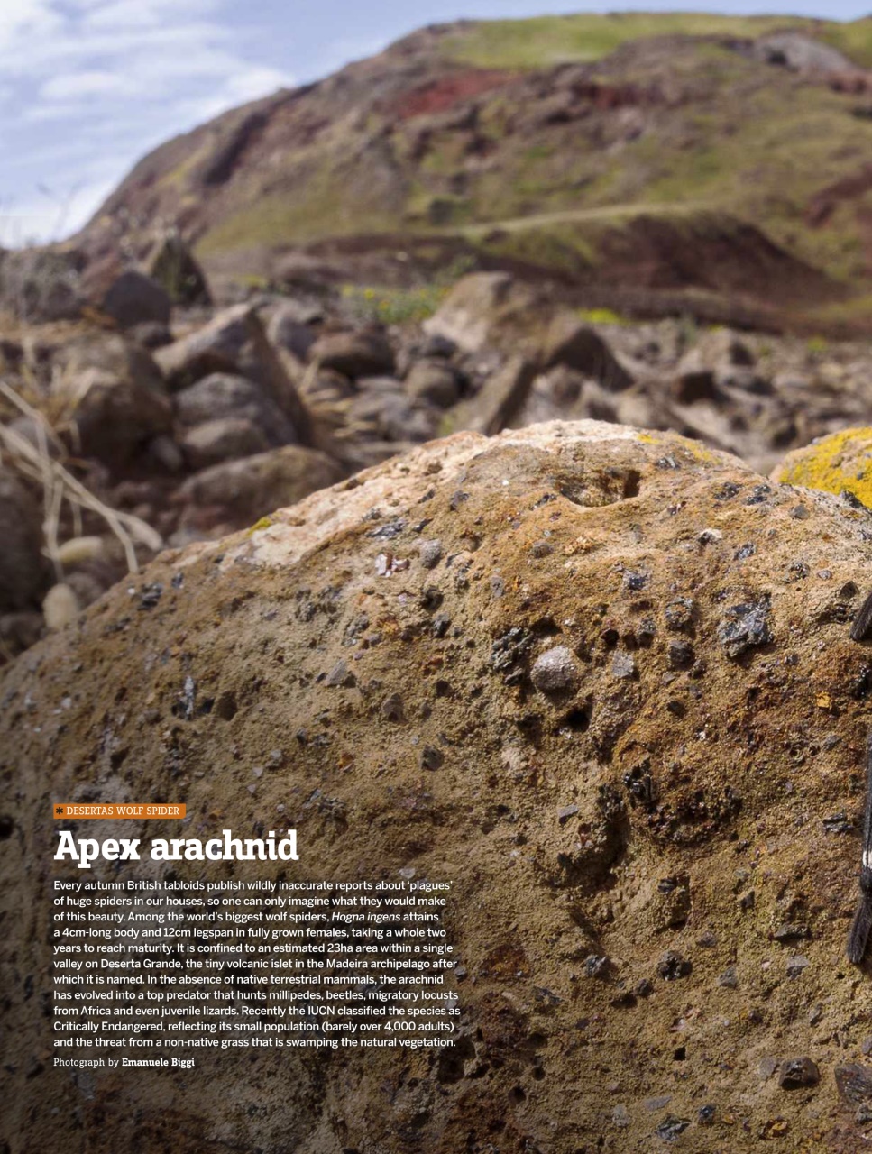 BBC Wildlife Magazine Preview Pages