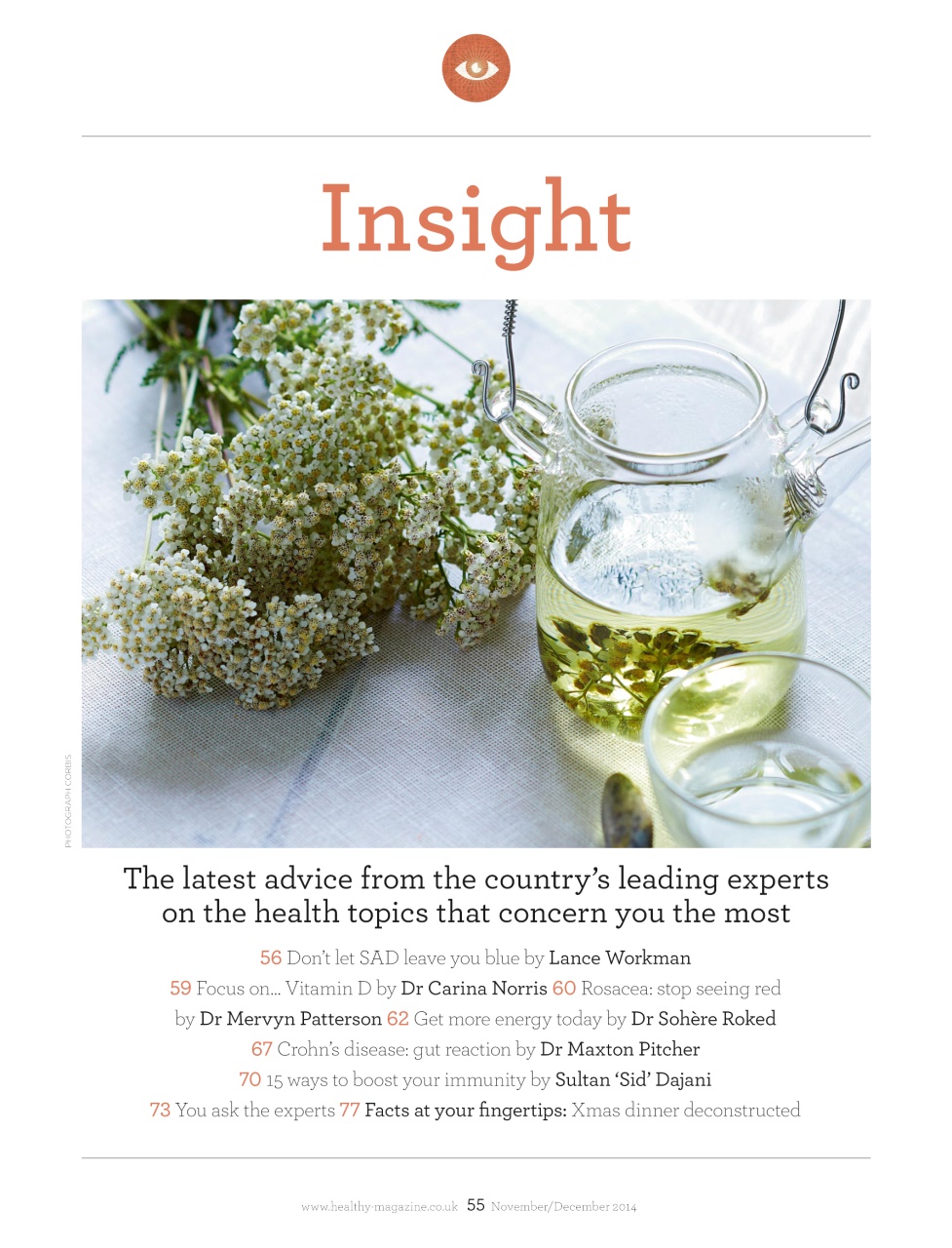 Healthy Magazine Preview Pages