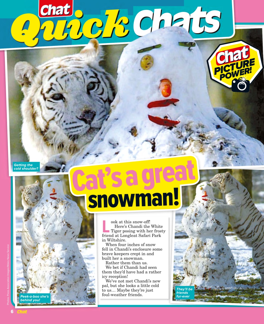 Chat Specials Preview Pages