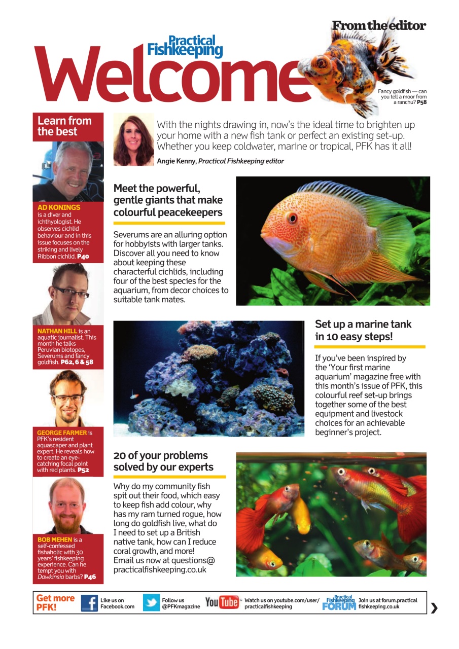 Practical Fishkeeping Preview Pages