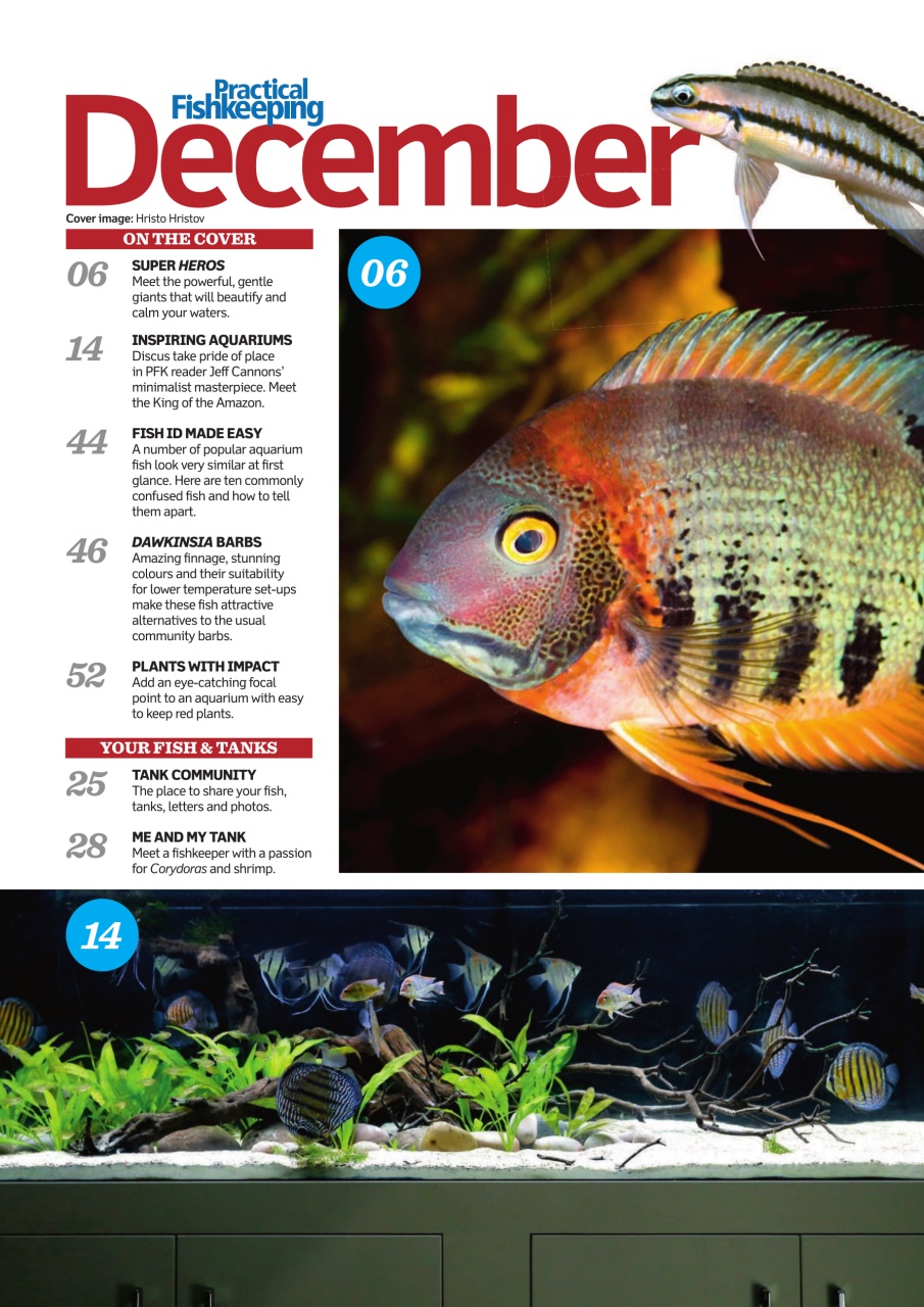 Practical Fishkeeping Preview Pages