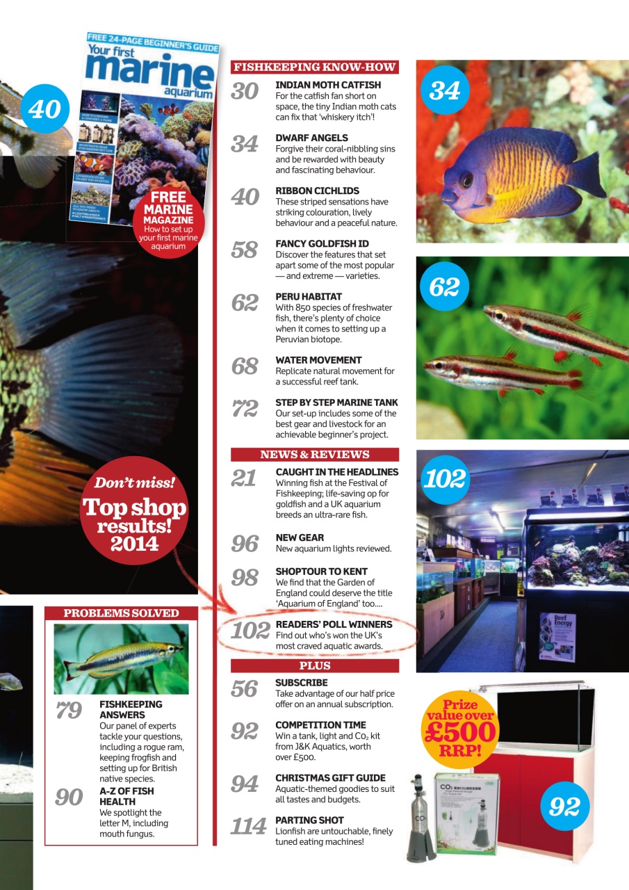 Practical Fishkeeping Preview Pages