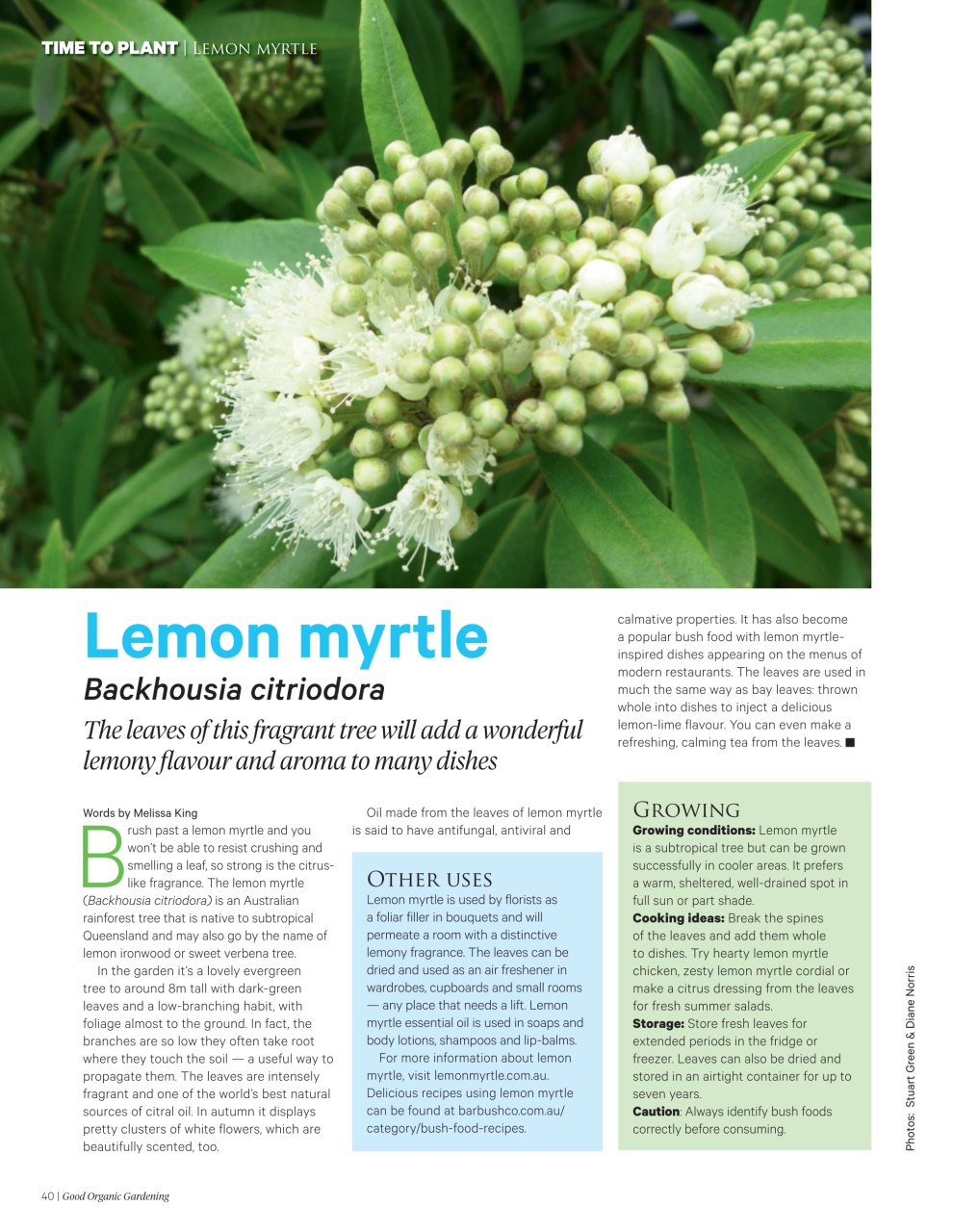 Good Organic Gardening Preview Pages