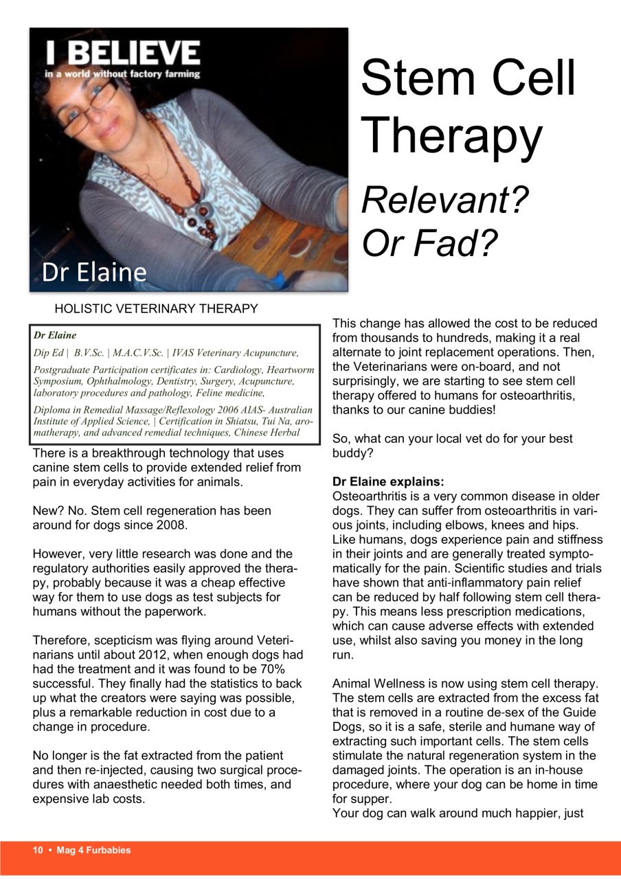 Mag 4 Furbabies Preview Pages