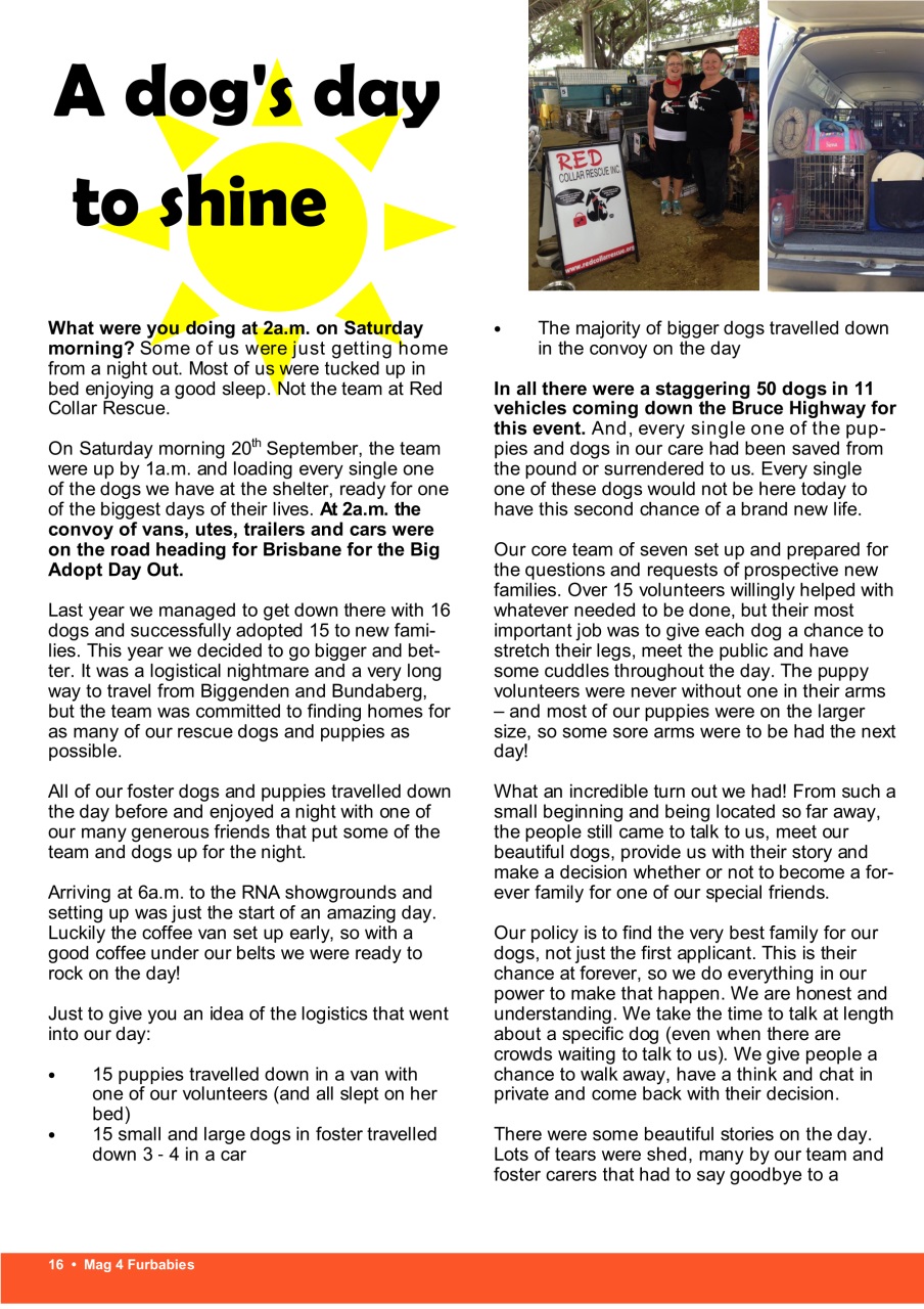 Mag 4 Furbabies Preview Pages