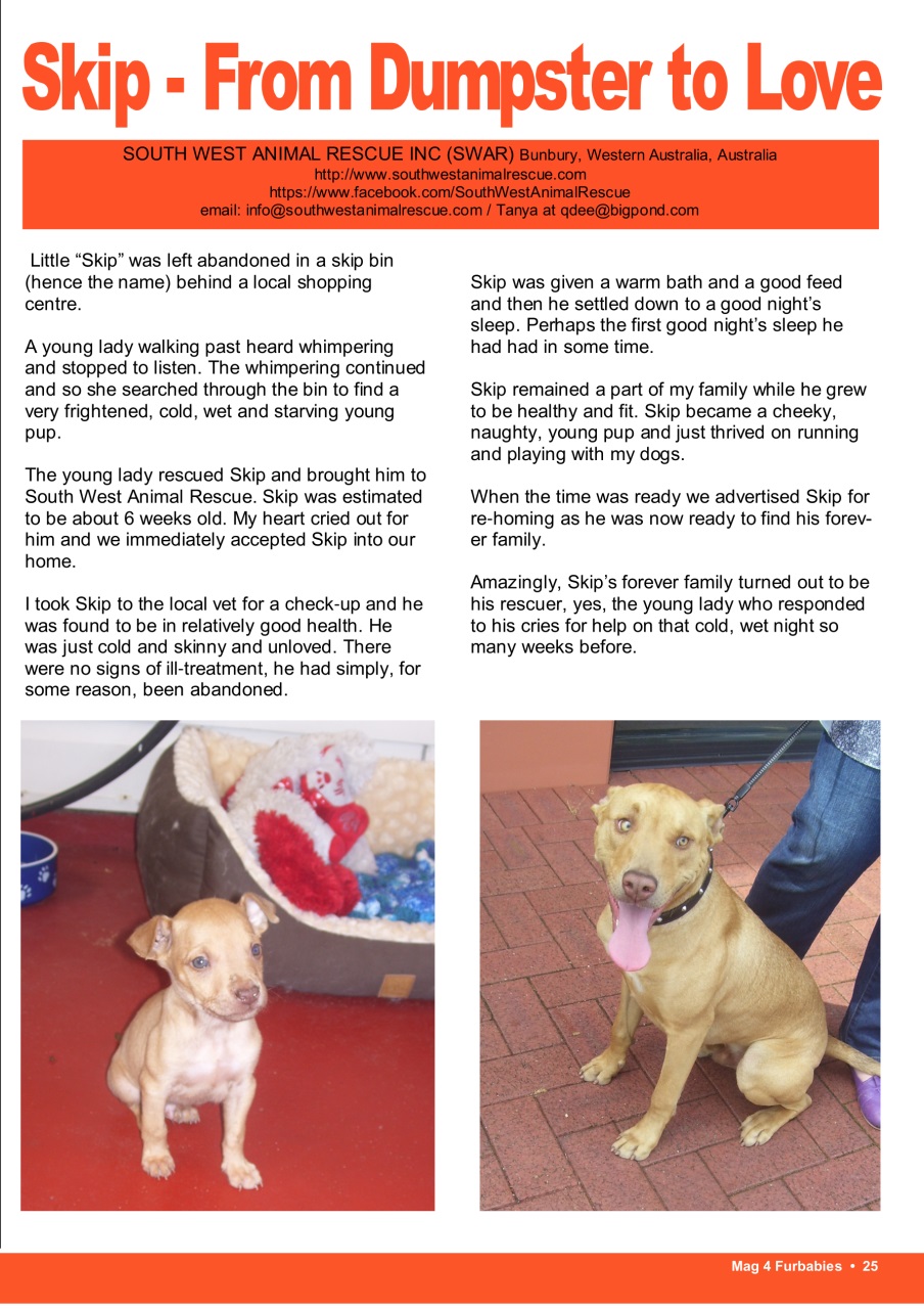 Mag 4 Furbabies Preview Pages