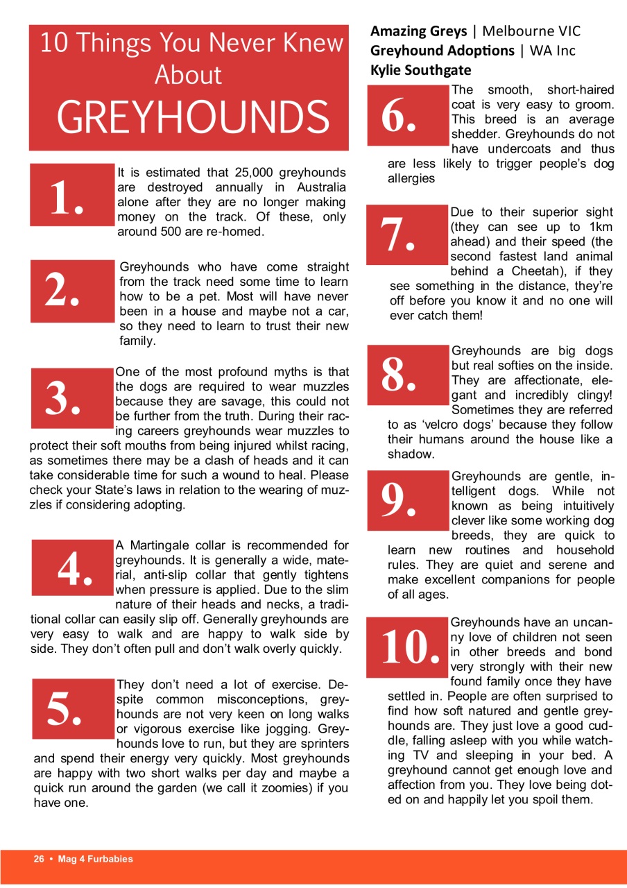 Mag 4 Furbabies Preview Pages