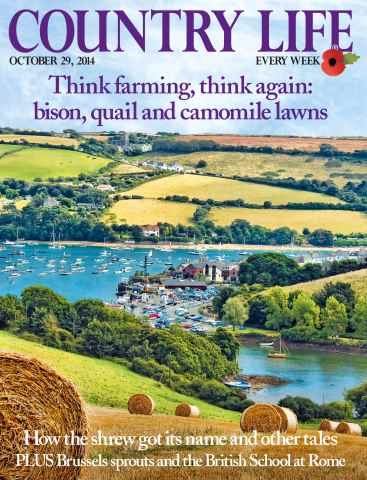 Country Life issue 29th October 2014