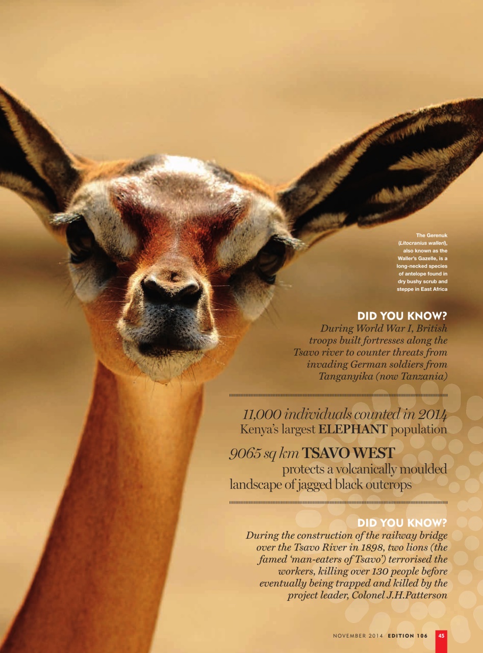 MSAFIRI – Kenya Airways Inflight Preview Pages