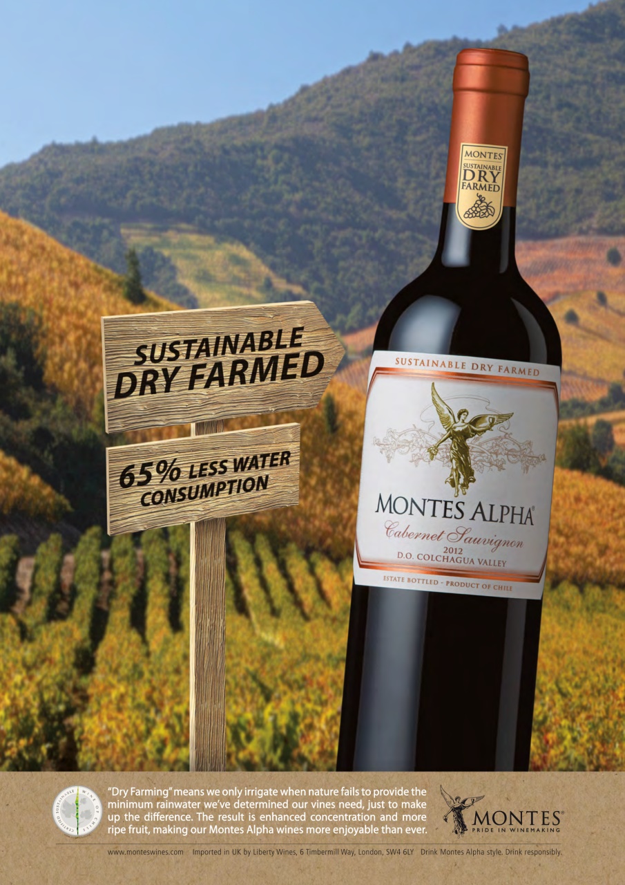 Decanter Preview Pages