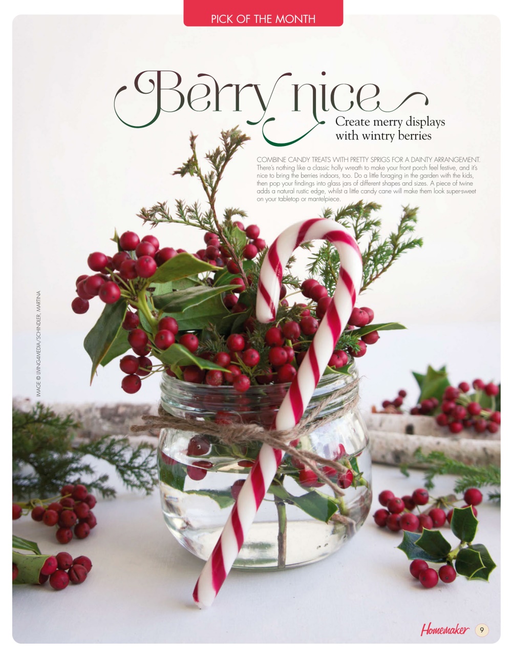 Homemaker Preview Pages