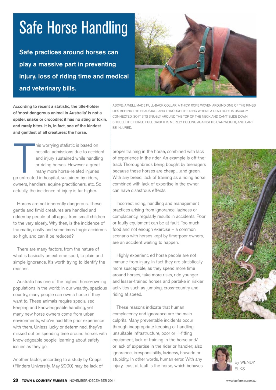 Town And Country Farmer Preview Pages