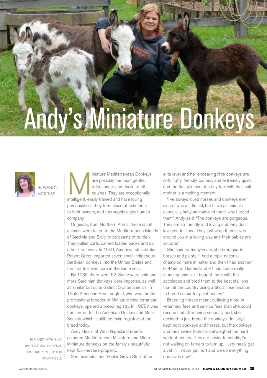 Town And Country Farmer Preview Pages