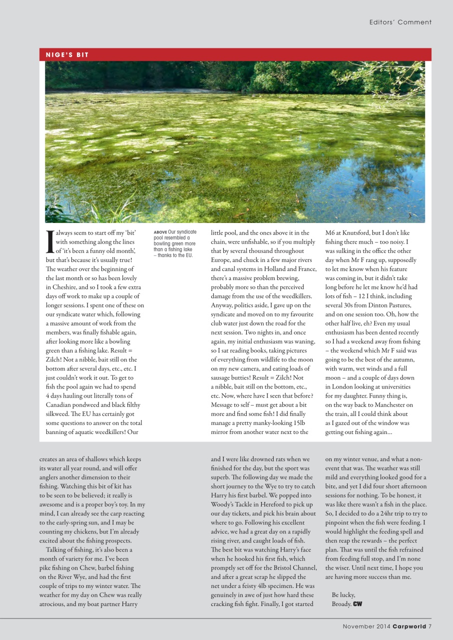 Carpworld Preview Pages