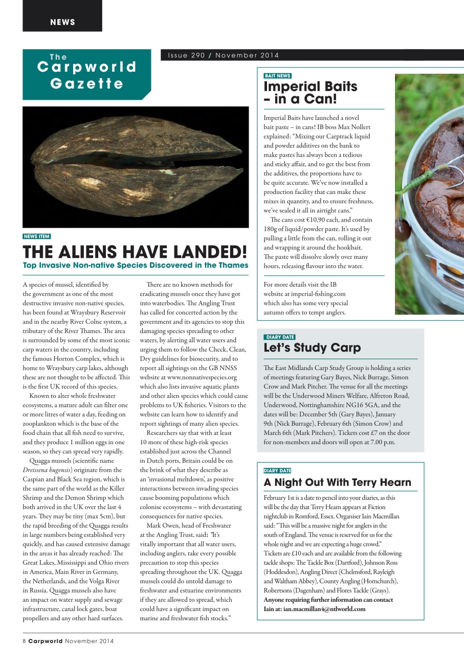 Carpworld Preview Pages