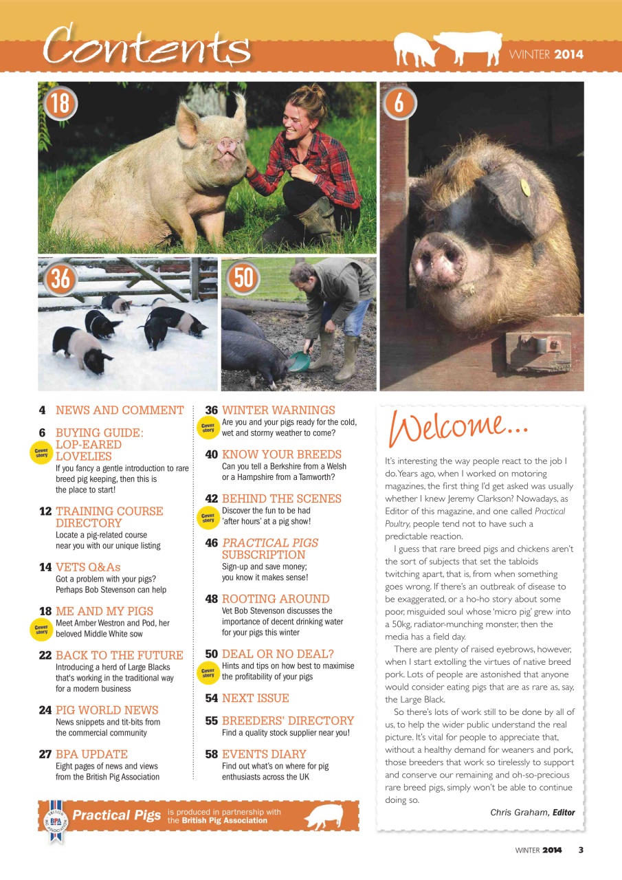 Practical Pigs Preview Pages