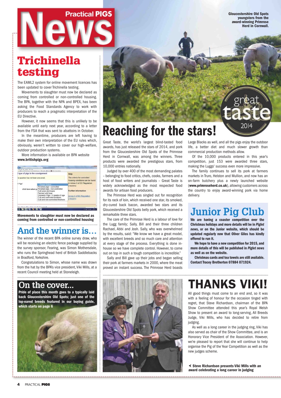 Practical Pigs Preview Pages