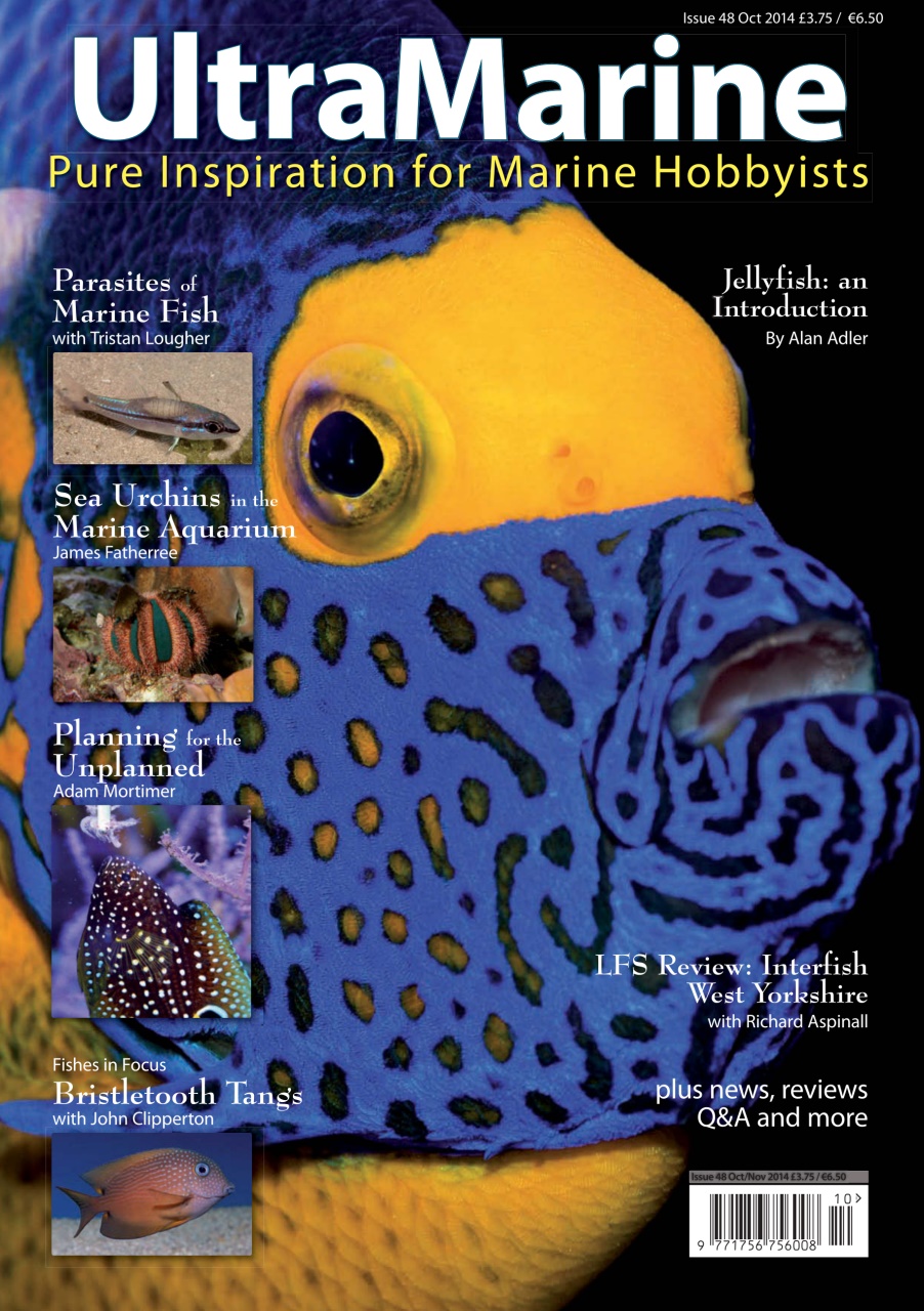 UltraMarine Magazine Preview Pages