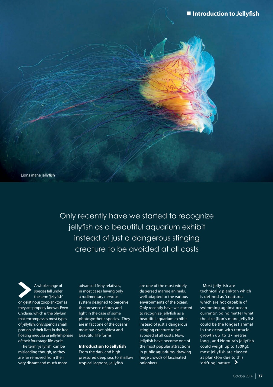 UltraMarine Magazine Preview Pages