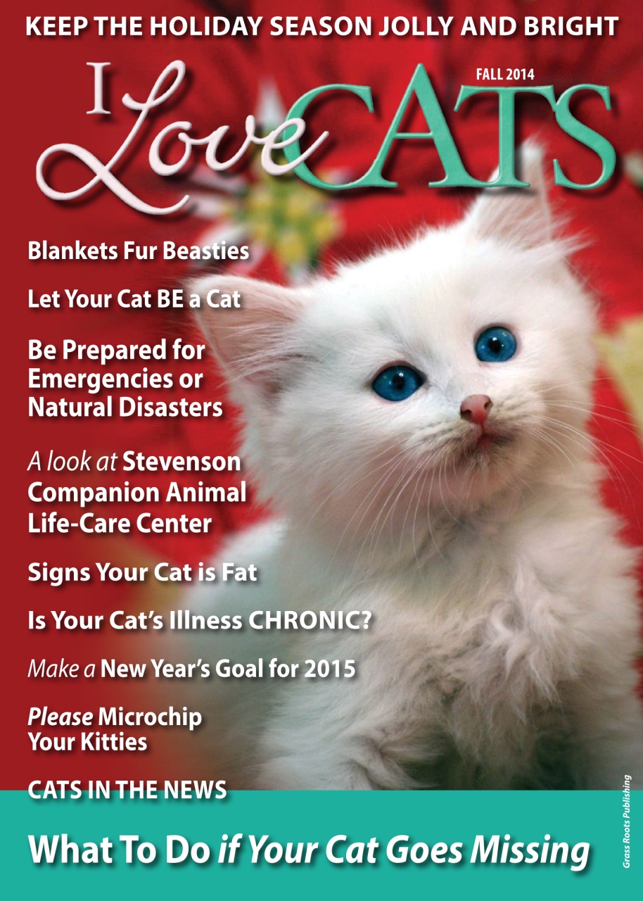 I Love Cats Preview Pages