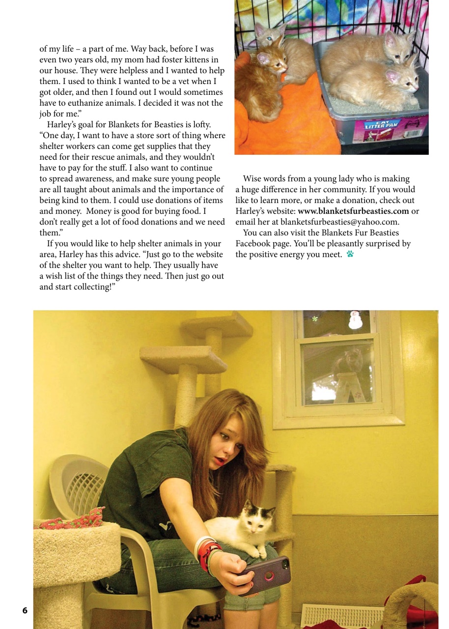 I Love Cats Preview Pages