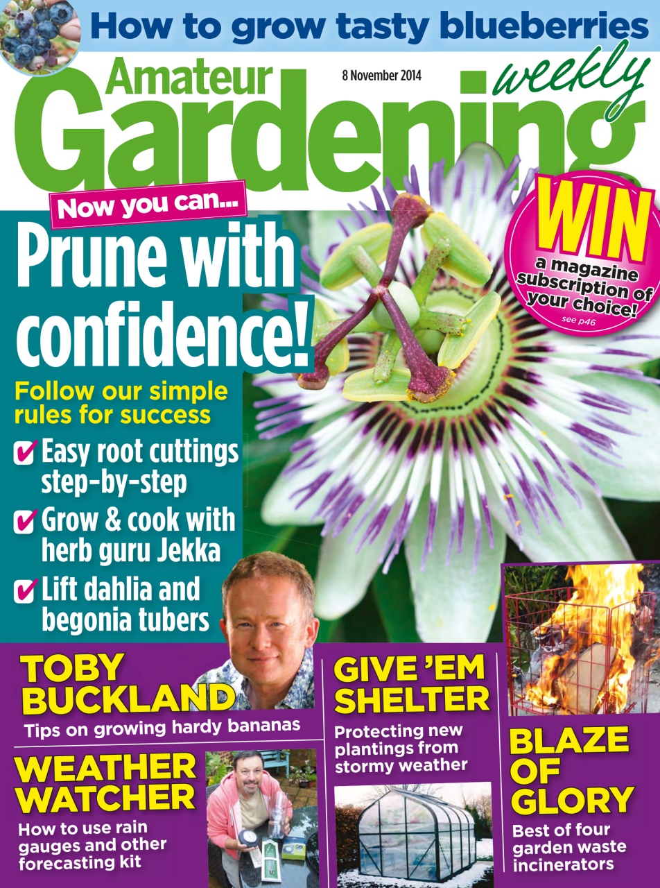 Amateur Gardening Preview Pages