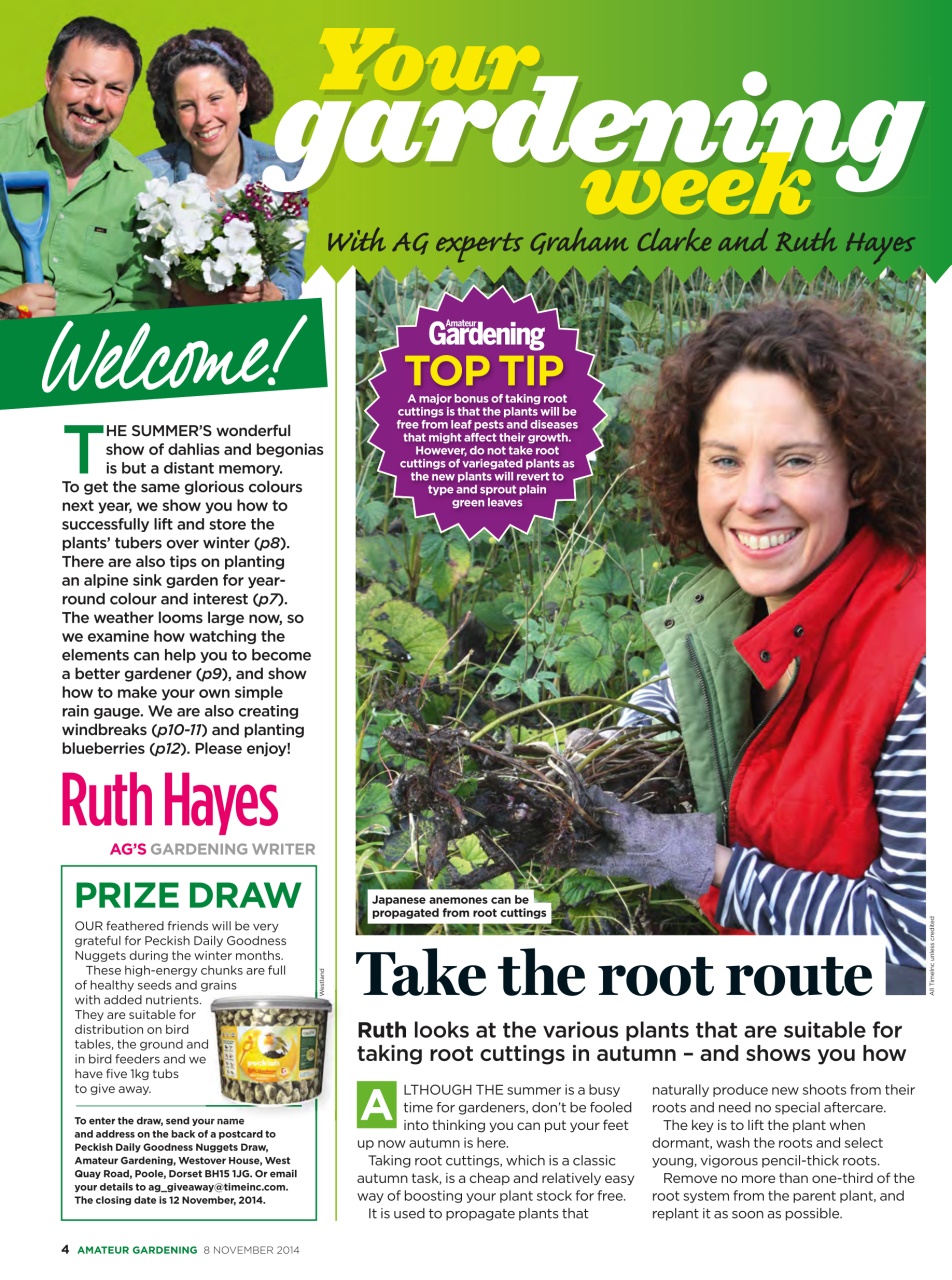 Amateur Gardening Preview Pages